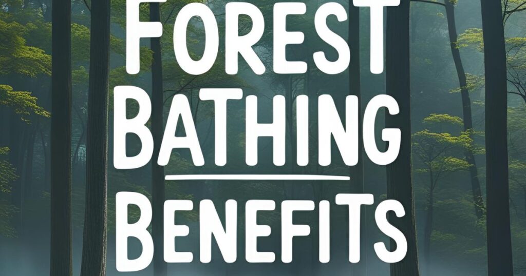 Forest Bathing Benefits