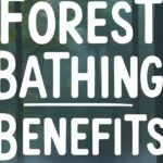 Forest Bathing Benefits